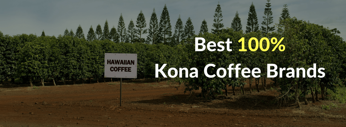 These are the best hawaiian coffee brands