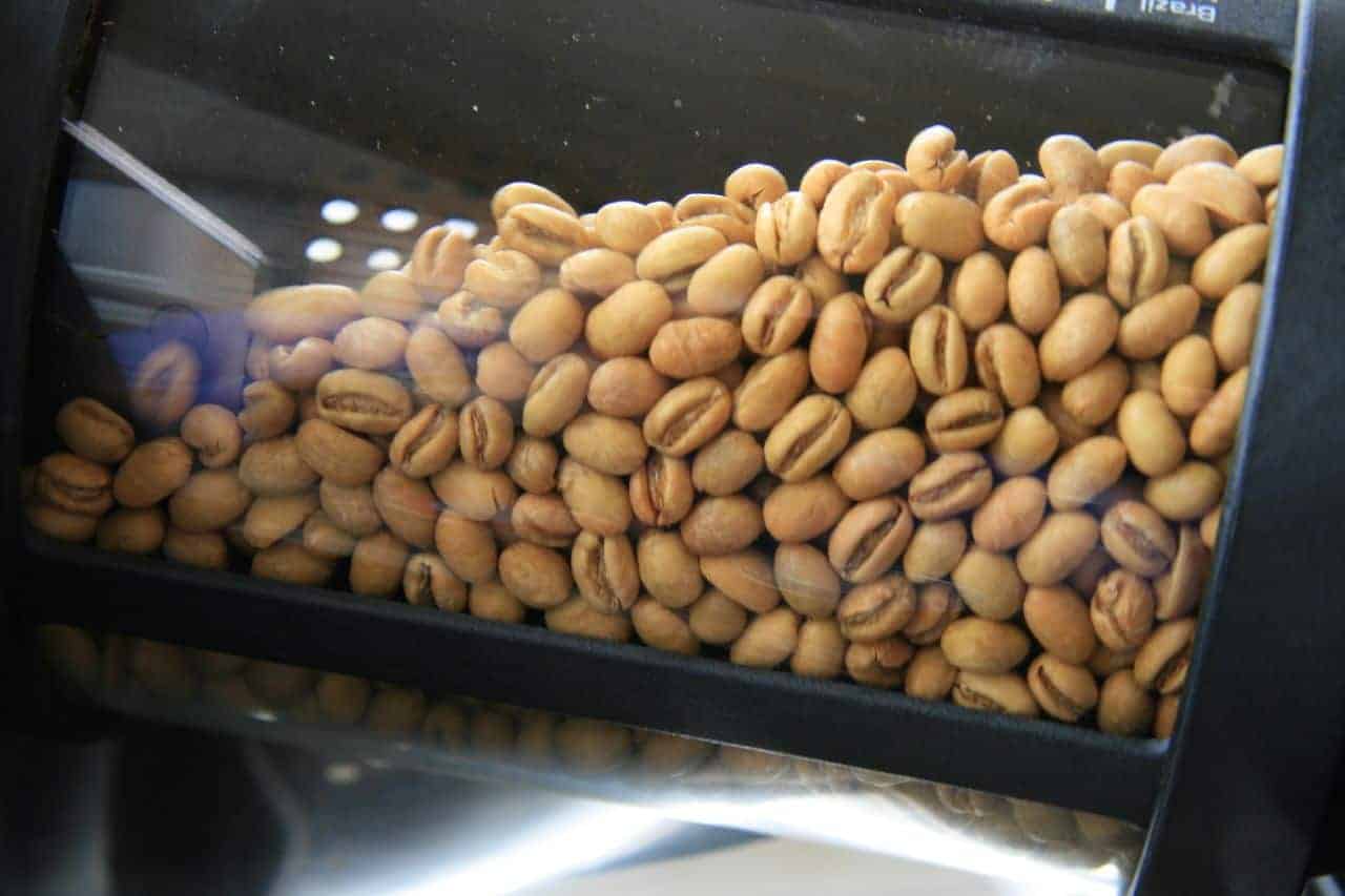 peaberry beans ready to roast