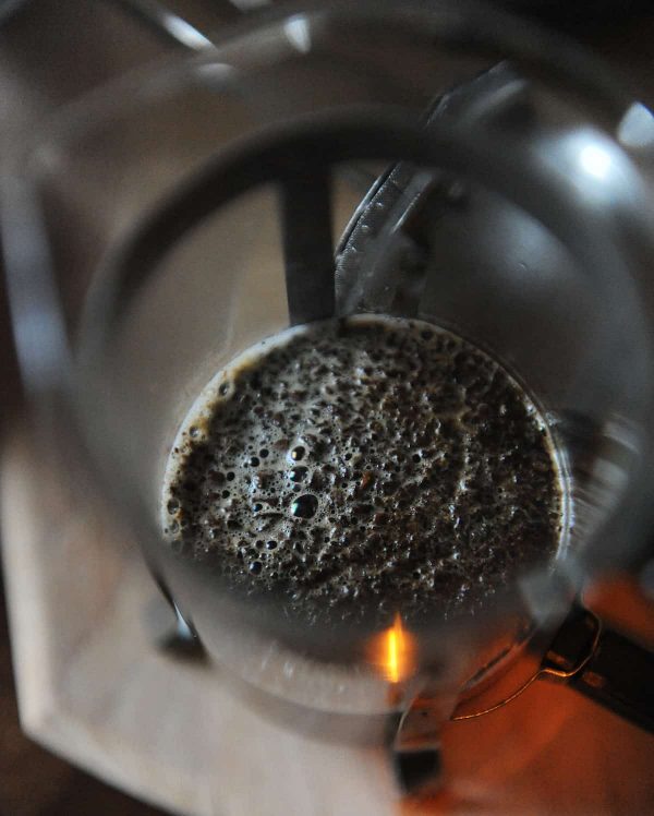 coffee bloom in french press