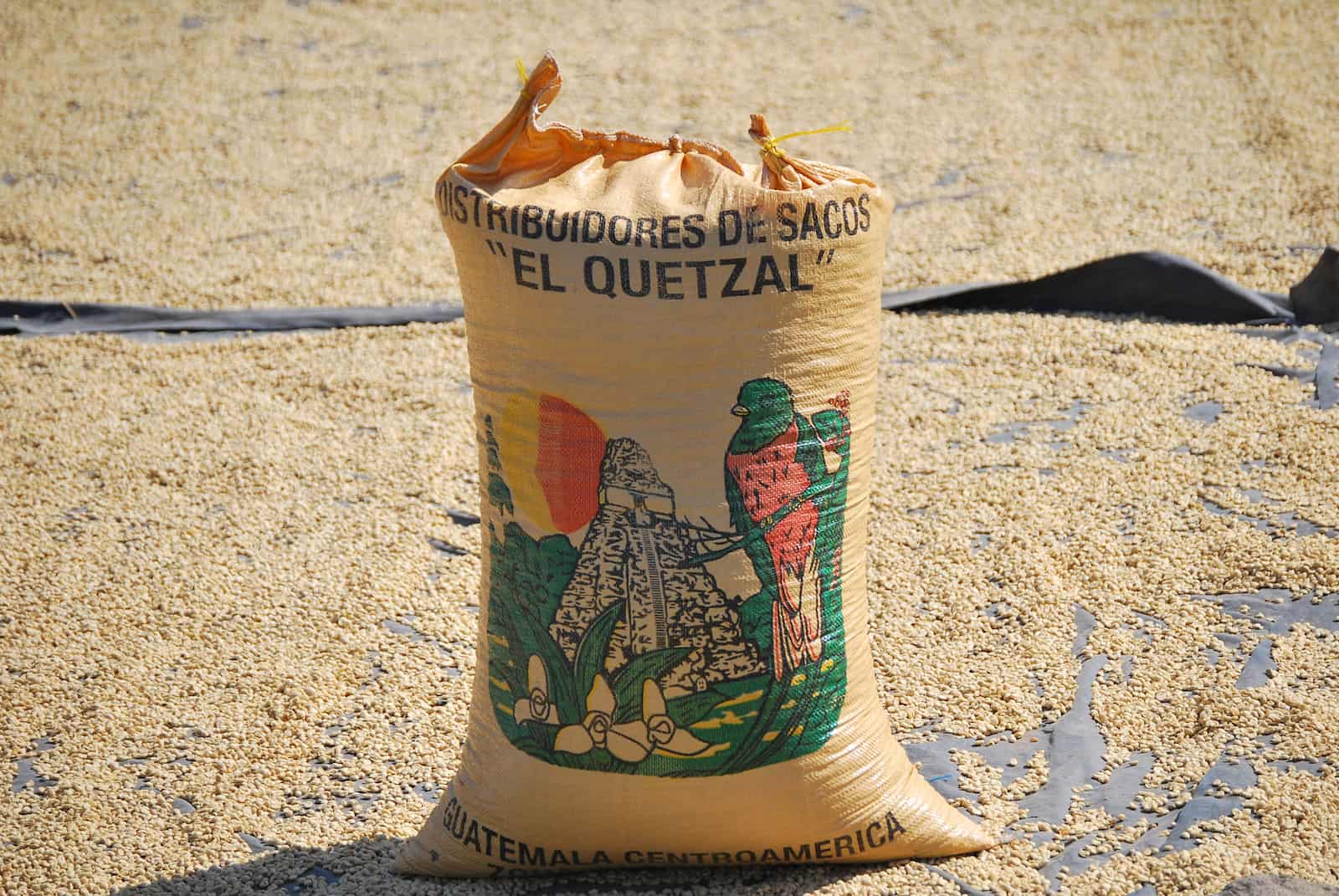 guatemala coffee bag