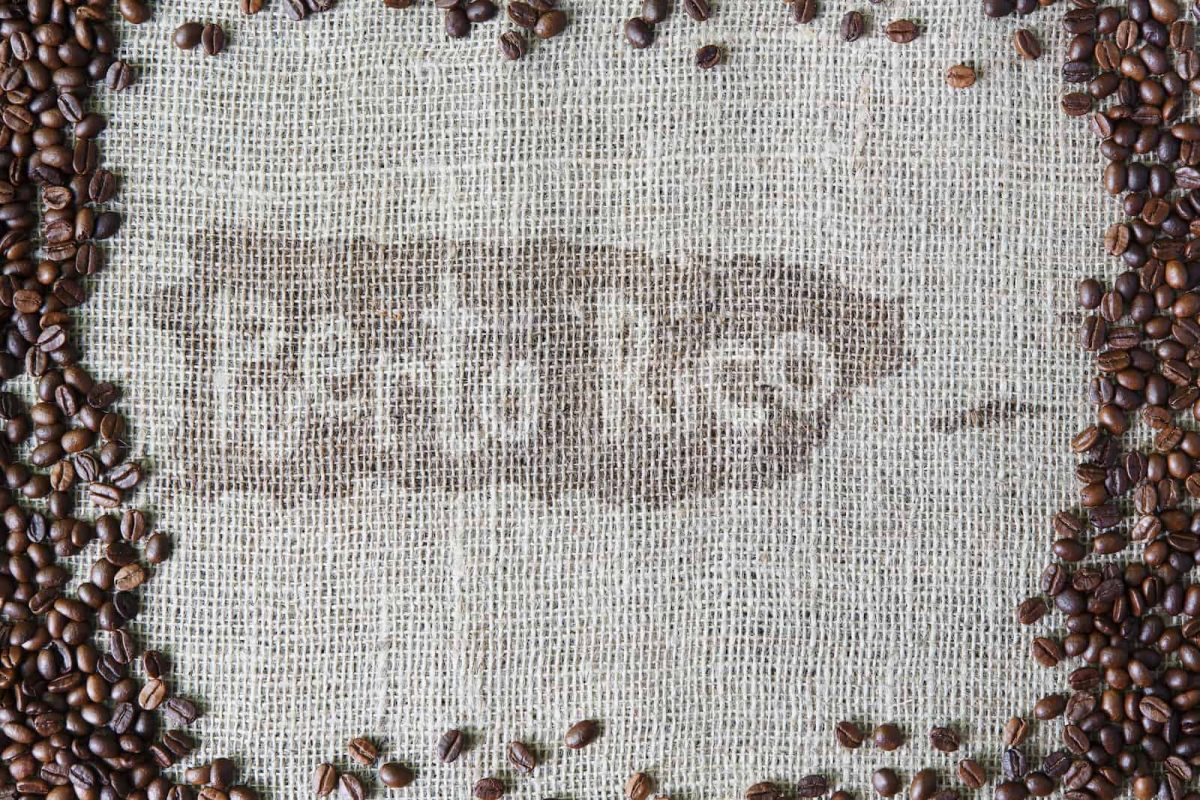The 5 best puerto rican coffee beans