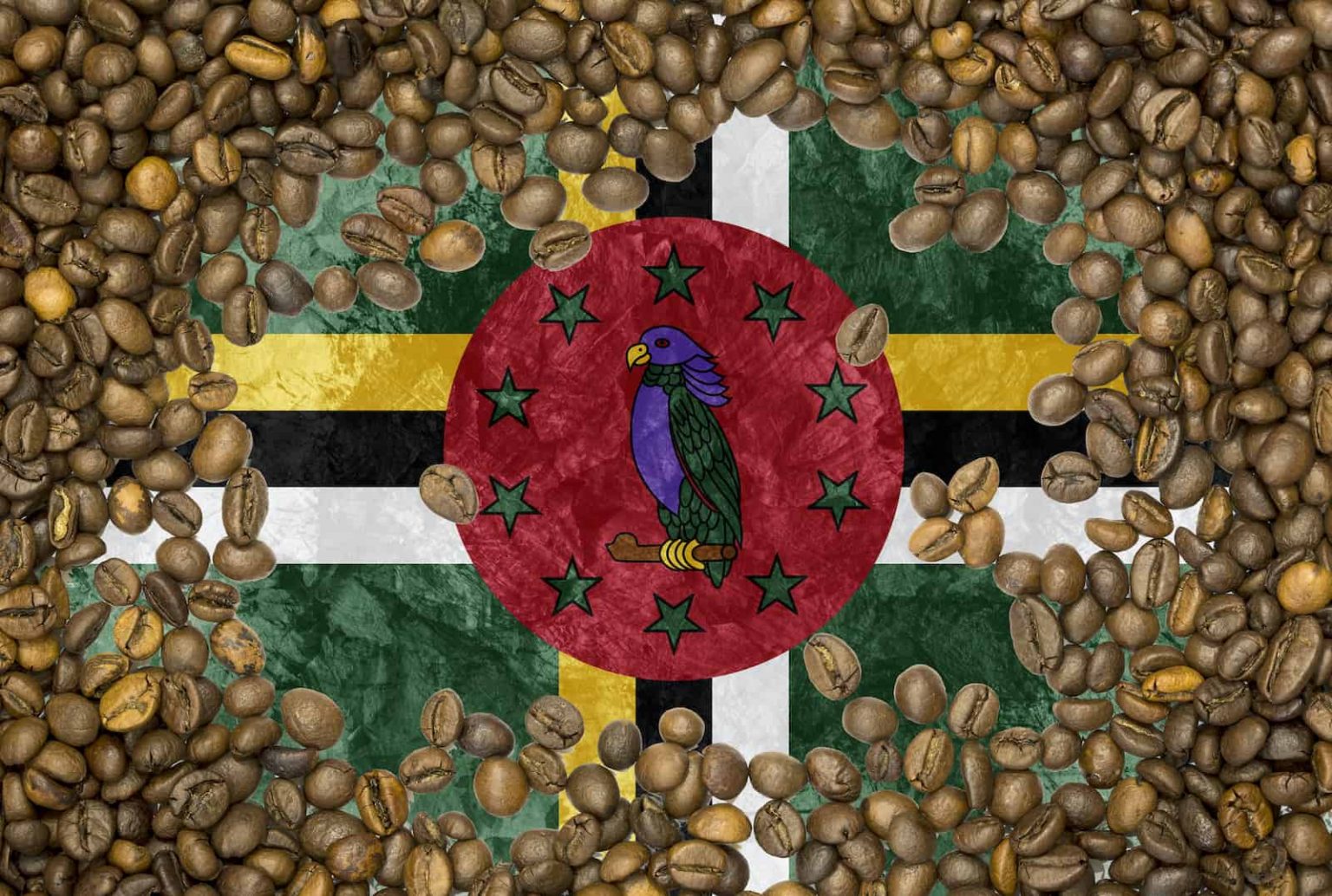5 Best Dominican Coffee In 2022