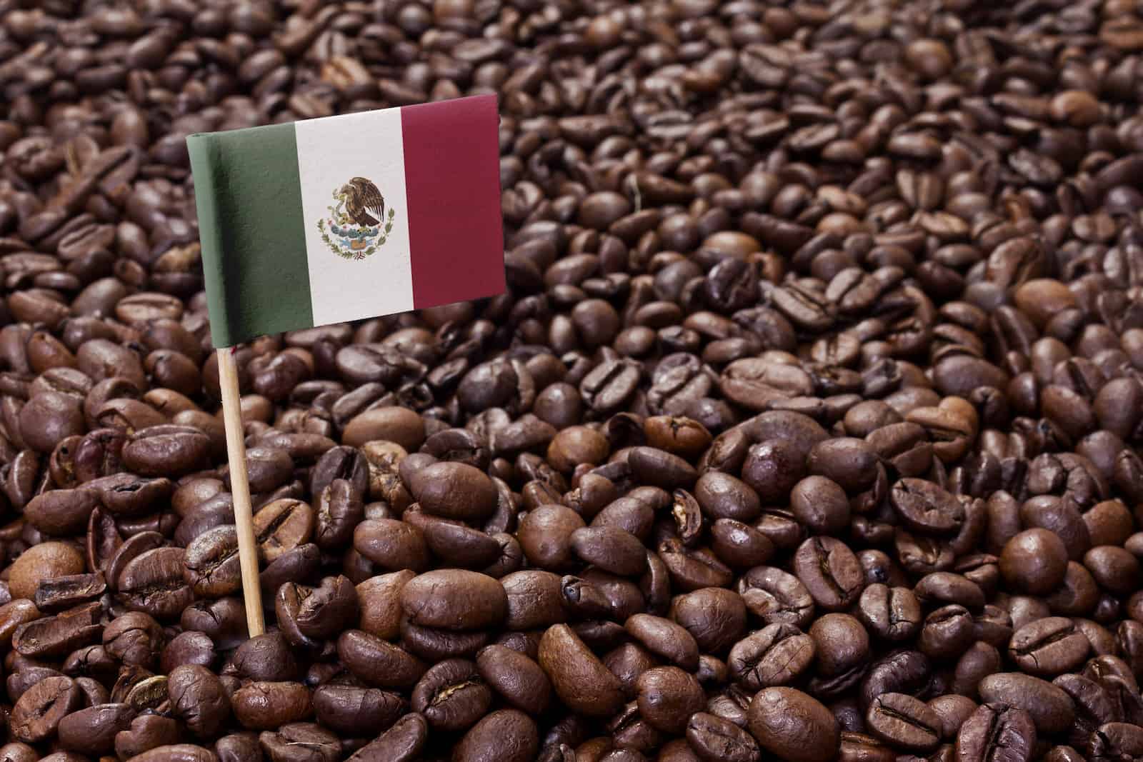 产地介绍丨世界知名咖啡生产国——墨西哥 - 知乎