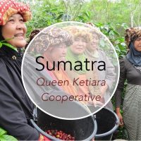 best sumatra coffee best sumatra coffee