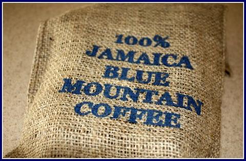 blue mountain coffee jamaica