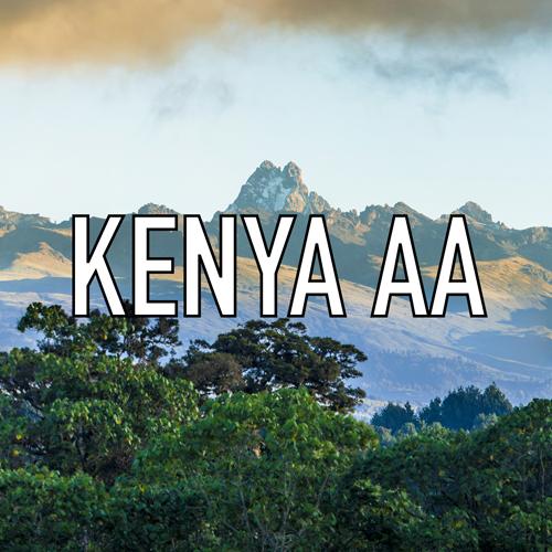 Kenya AA