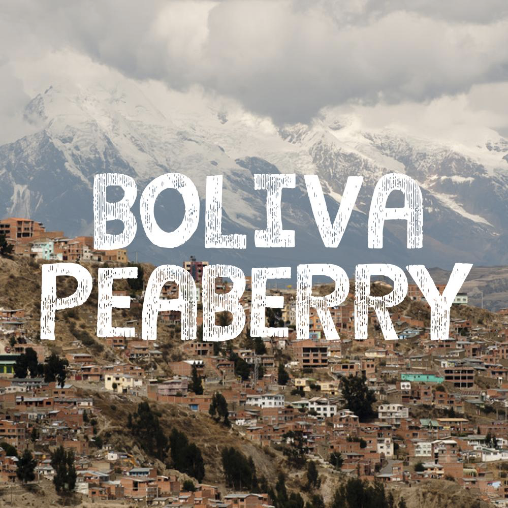 Volcanica Bolivia Peaberry