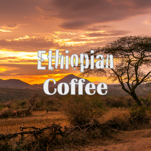 Ethiopian coffee