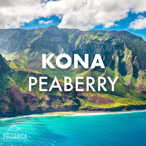 kona-peaberry